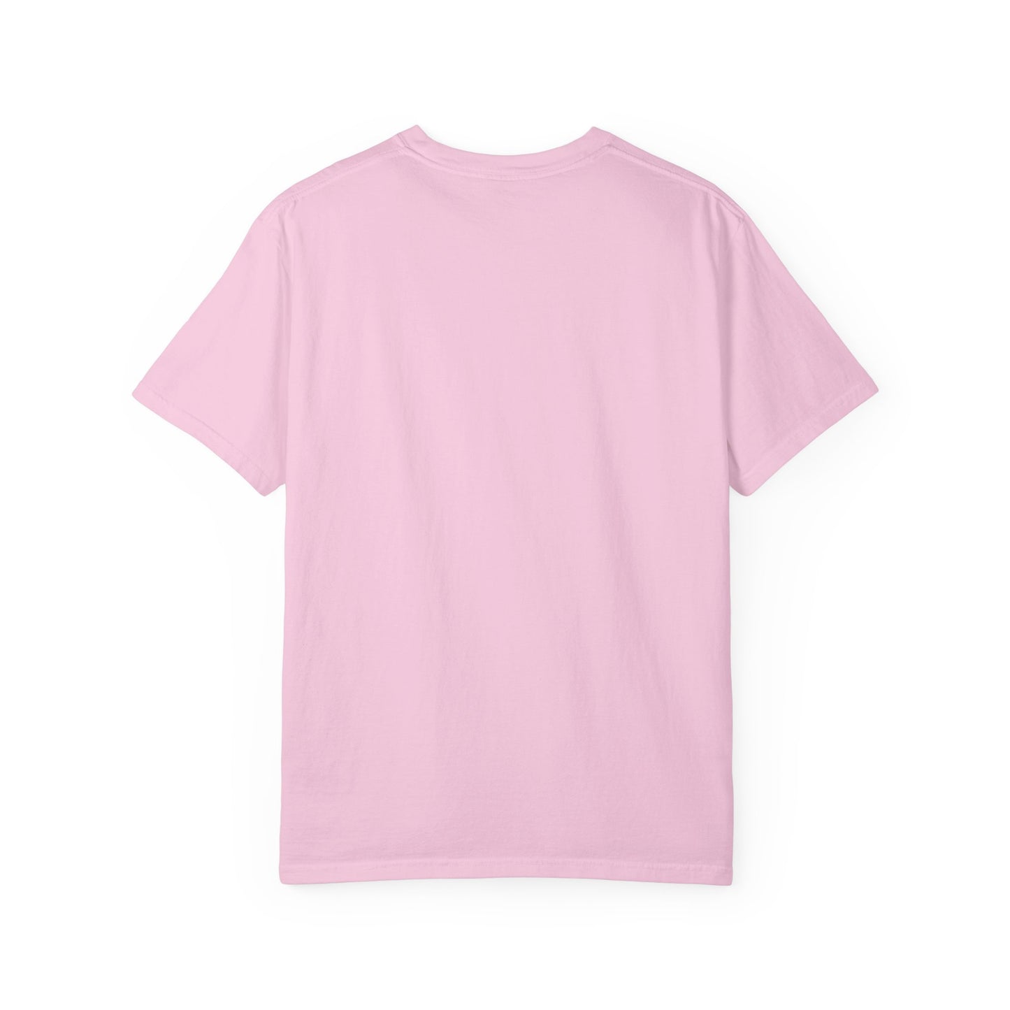 Dividend Stocks Unisex Garment-Dyed T-Shirt, Investment Tee, Finance Gift, Casual Wear, Gift for Investors, Stock Market Apparel