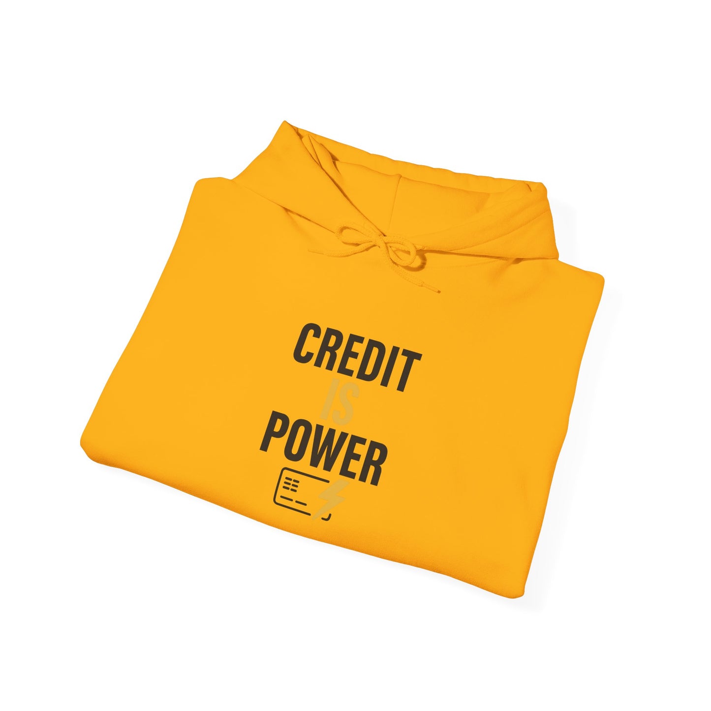 Empowering Credit Sweatshirt: Perfect for Financial Enthusiasts, Motivational Gift, Cozy Casual Wear, Credit Awareness, Unisex Hoodie