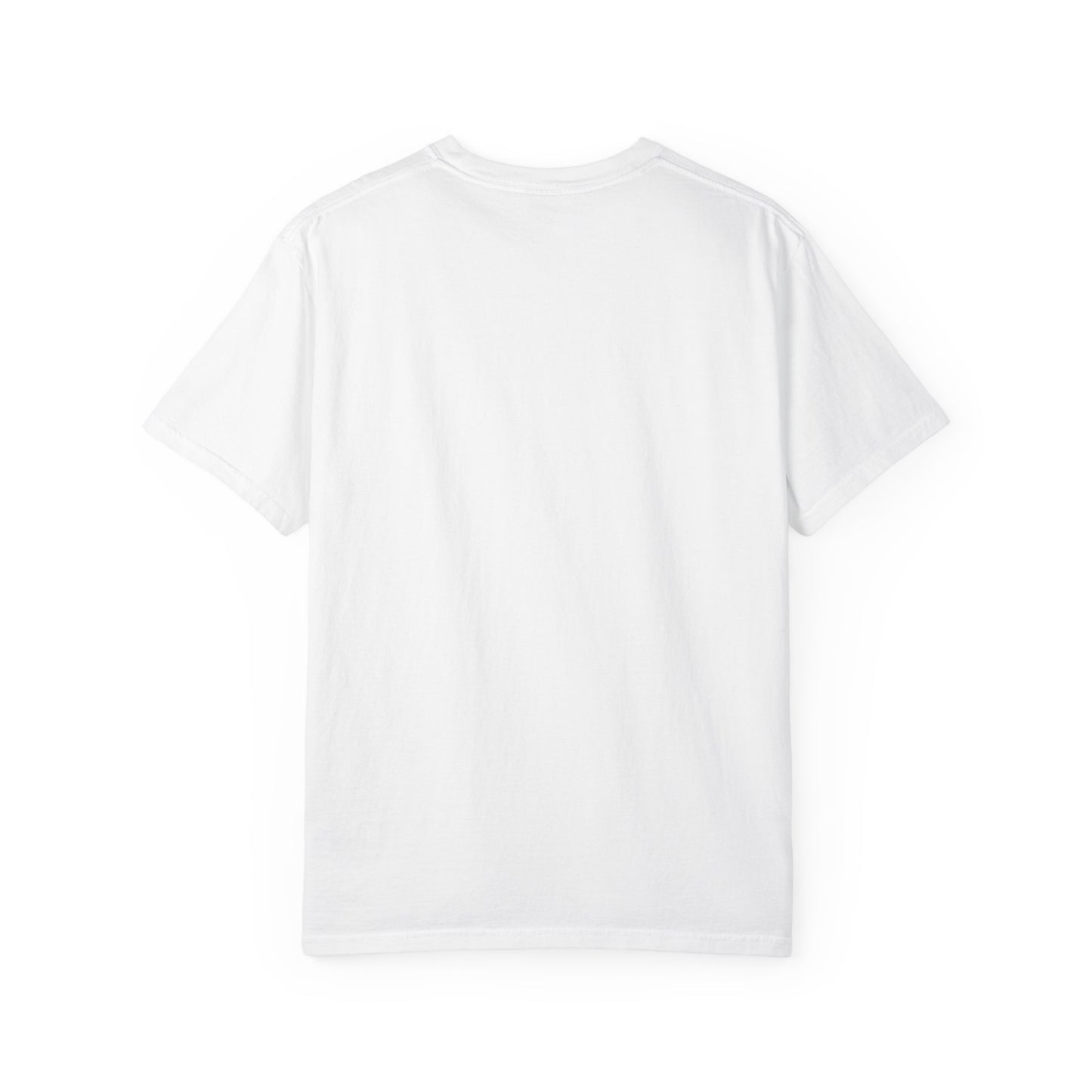 Empowerment T-Shirt | Credit is Power | Unisex Garment-Dyed Tee | Motivational Shirt, Gift for Students, Financial Freedom