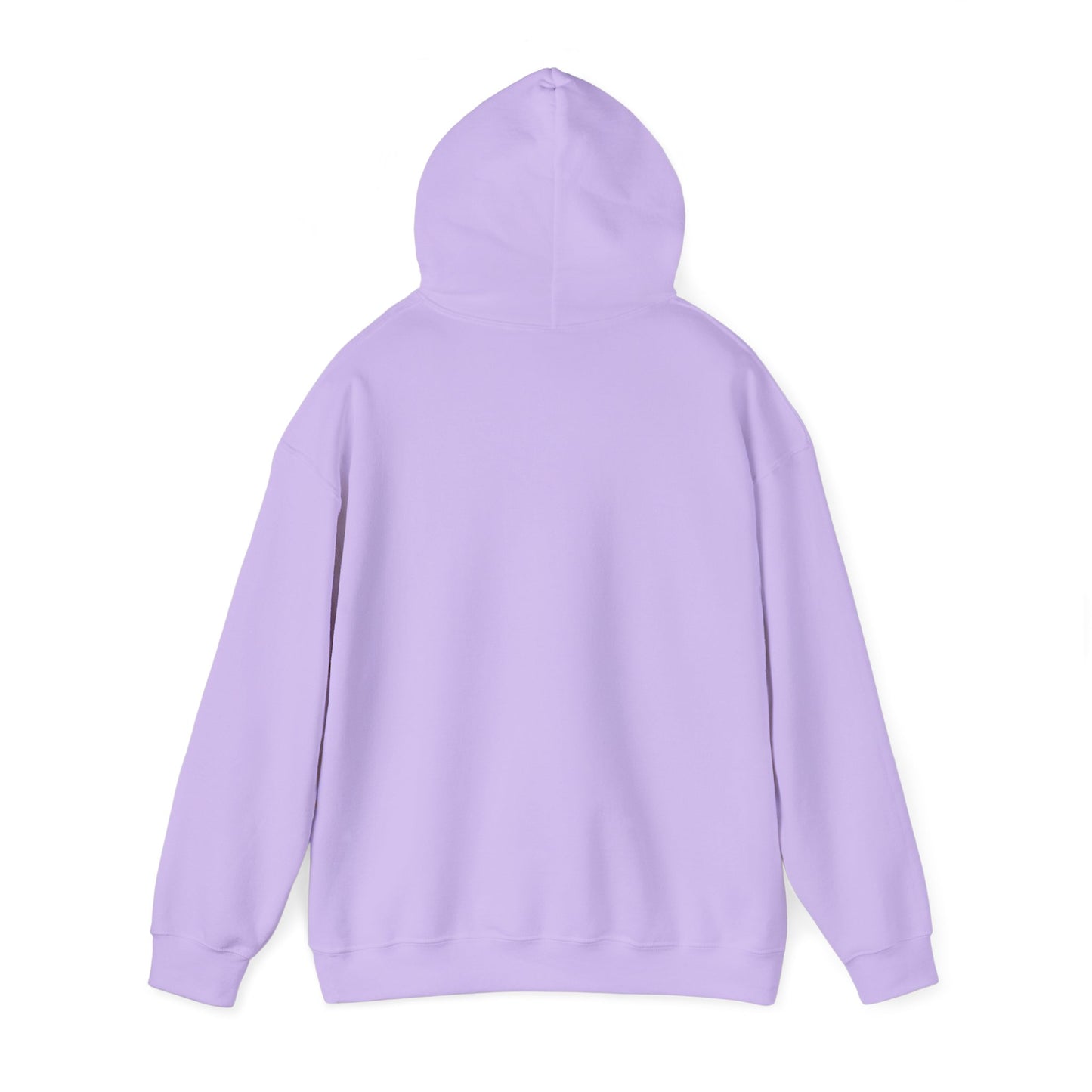 Asset Producing Income Hoodie for Entrepreneurs