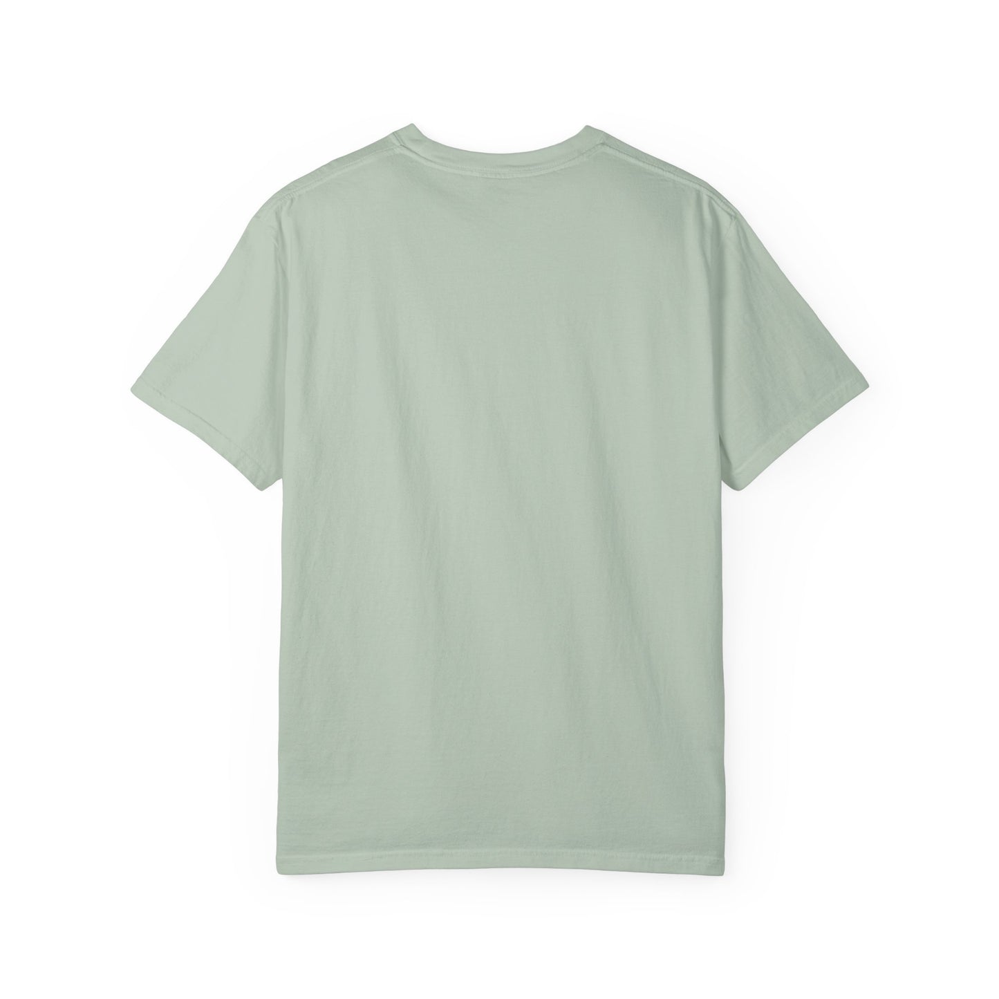 Dividend Stocks Unisex Garment-Dyed T-Shirt, Investment Tee, Finance Gift, Casual Wear, Gift for Investors, Stock Market Apparel