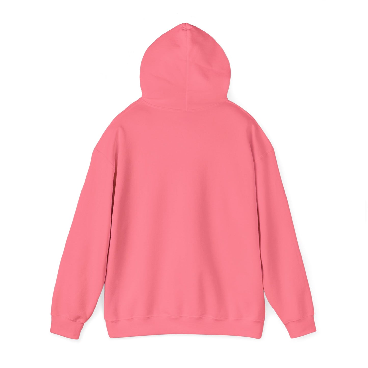 Asset Producing Income Hoodie for Entrepreneurs