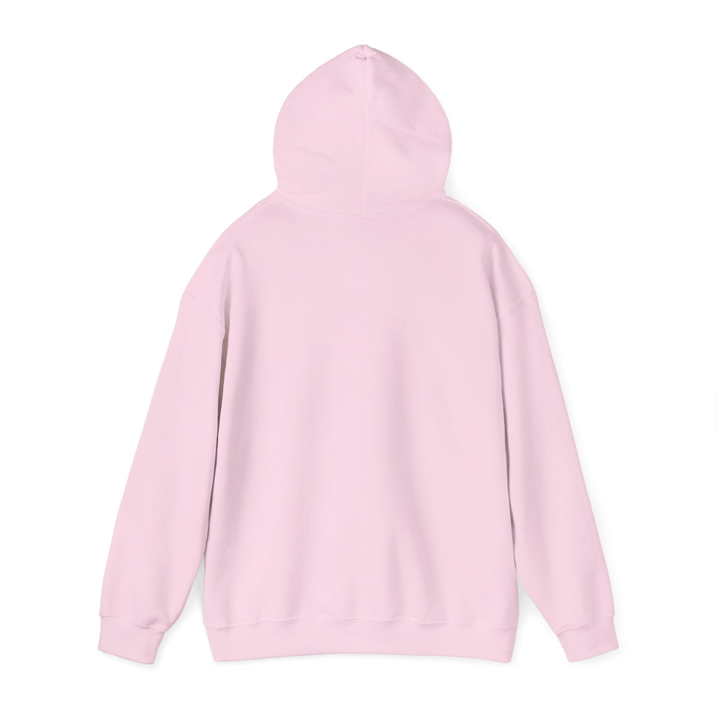 Empowering Credit Sweatshirt: Perfect for Financial Enthusiasts, Motivational Gift, Cozy Casual Wear, Credit Awareness, Unisex Hoodie