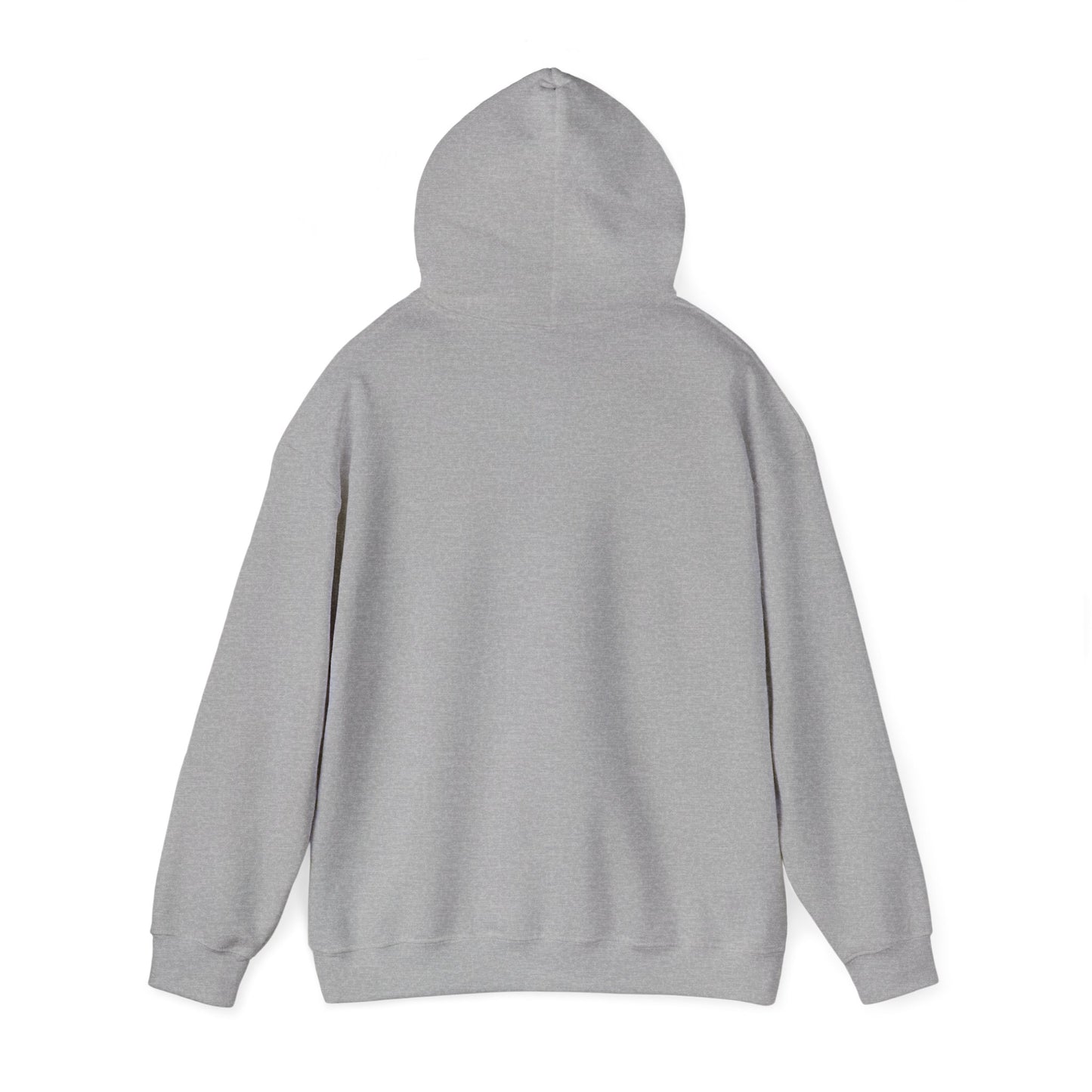 Asset Producing Income Hoodie, Casual Pullover, Motivational Gift, Unisex Apparel, Trendy Streetwear, Chill Vibes