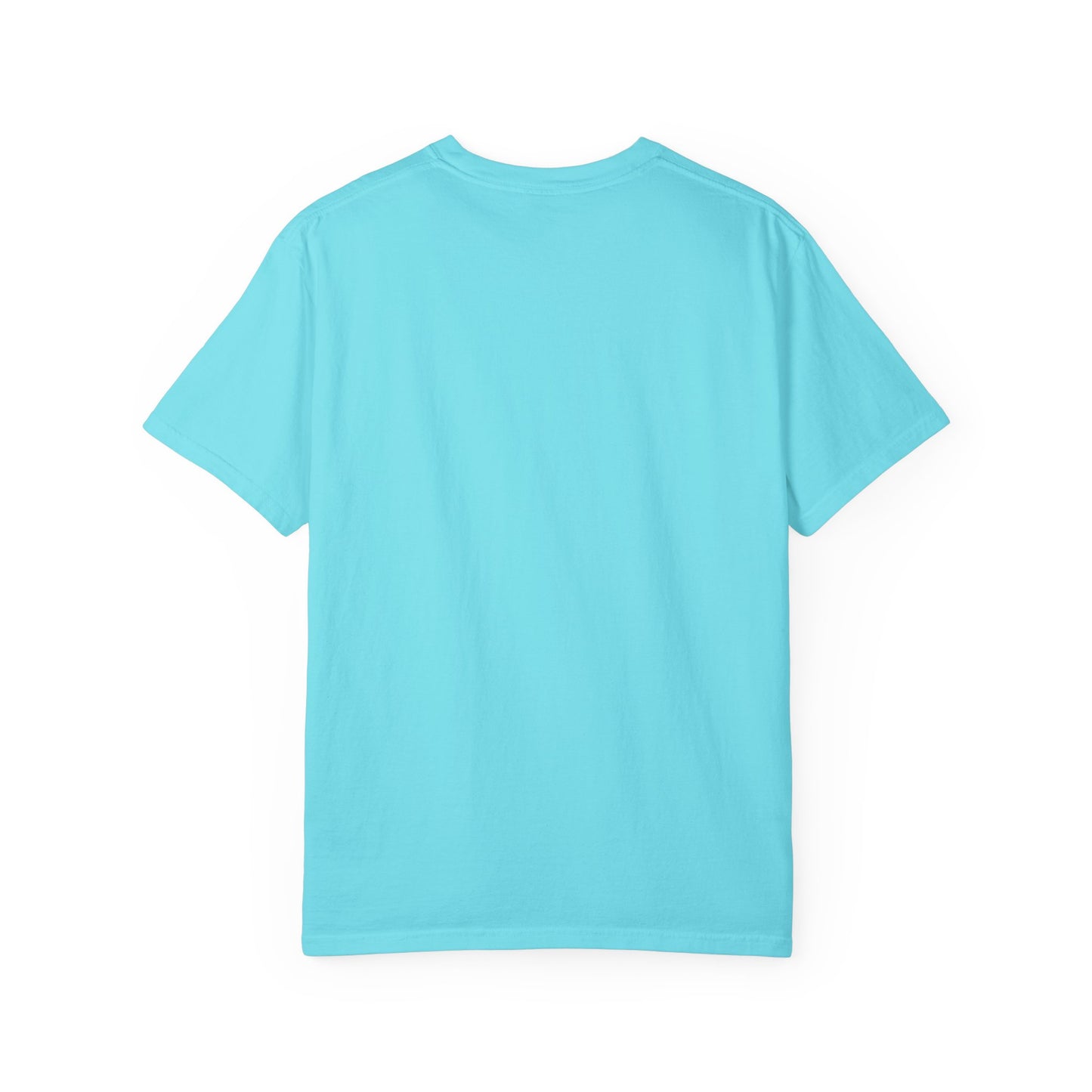 Dividend Stocks Unisex Garment-Dyed T-Shirt, Investment Tee, Finance Gift, Casual Wear, Gift for Investors, Stock Market Apparel