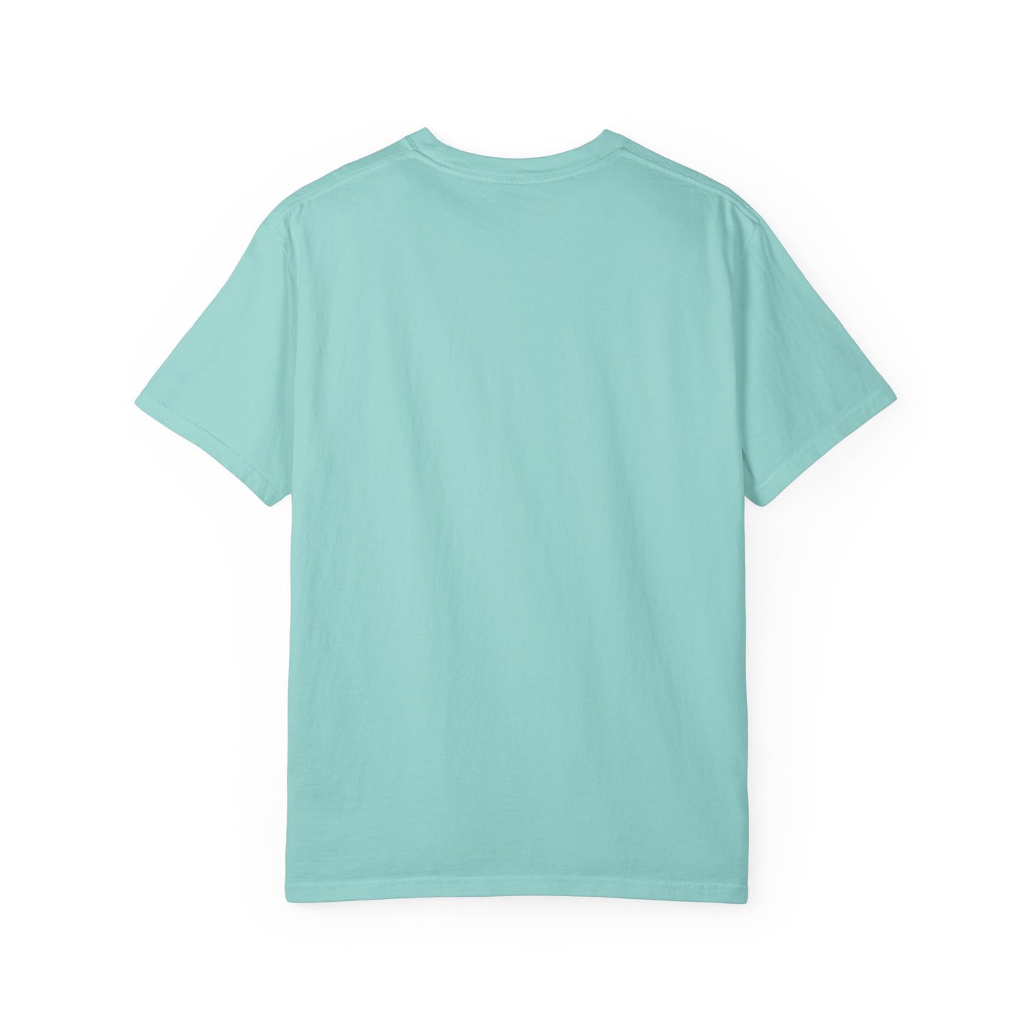 Empowerment T-Shirt | Credit is Power | Unisex Garment-Dyed Tee | Motivational Shirt, Gift for Students, Financial Freedom