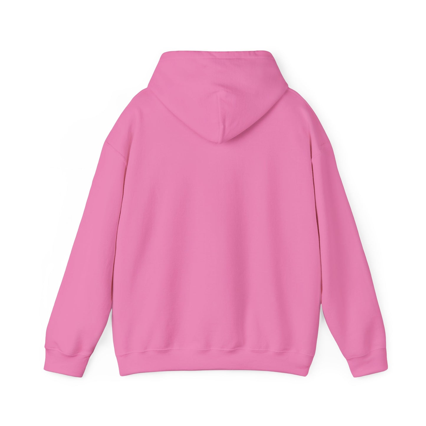 Asset Producing Income Hoodie for Entrepreneurs