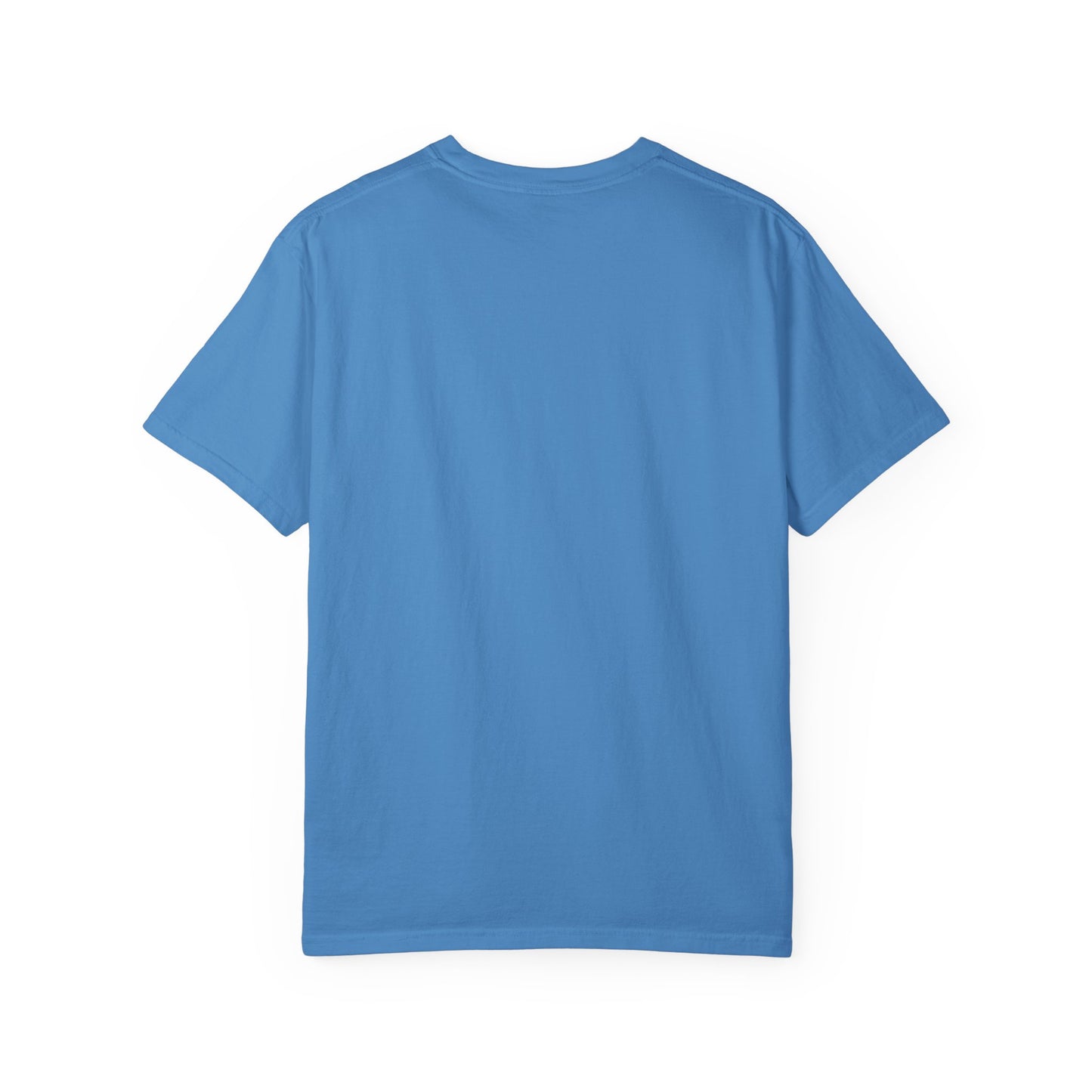 Empowerment T-Shirt | Credit is Power | Unisex Garment-Dyed Tee | Motivational Shirt, Gift for Students, Financial Freedom