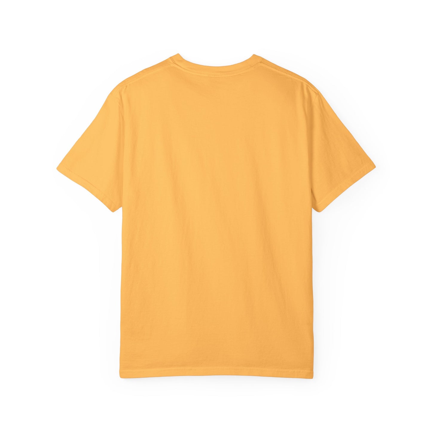 Asset Producing Income Unisex T-Shirt, Motivational Tee, Casual Wear, College Student Gift, Entrepreneurship Shirt, Everyday Comfort