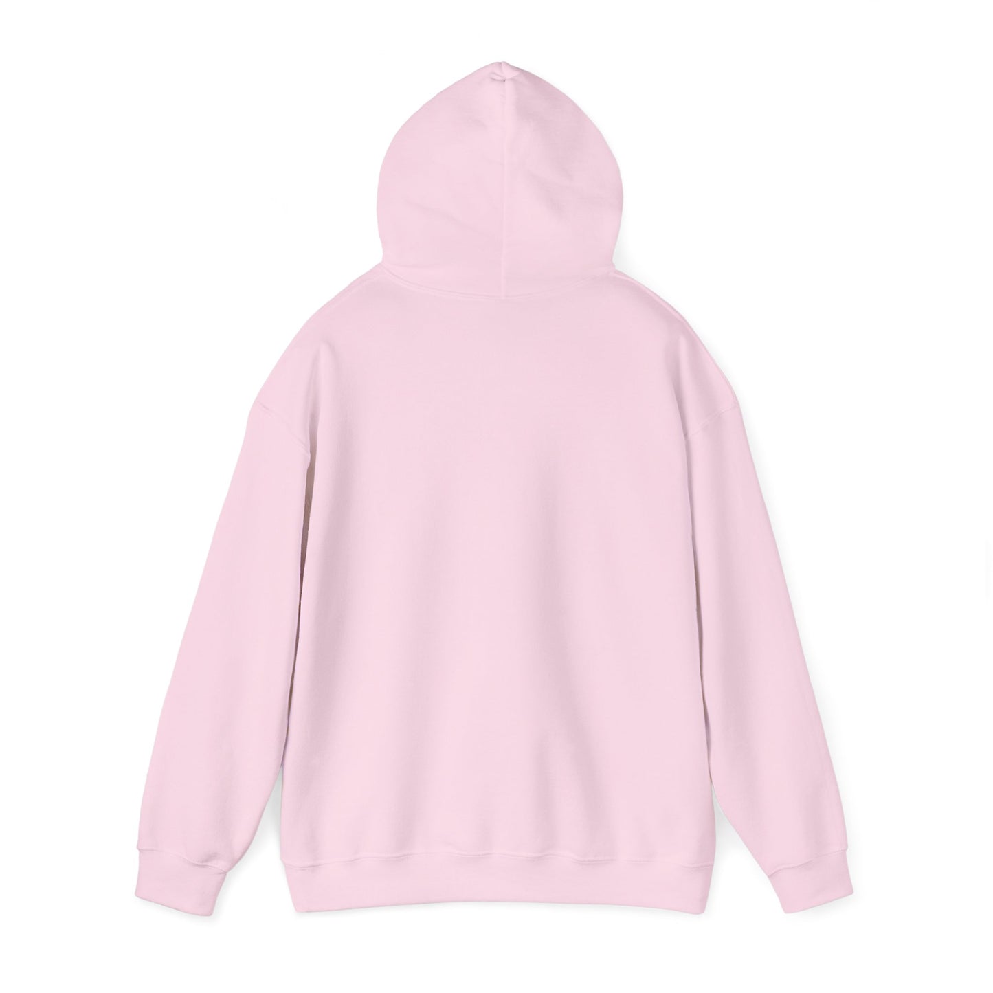 Asset Producing Income Hoodie for Entrepreneurs