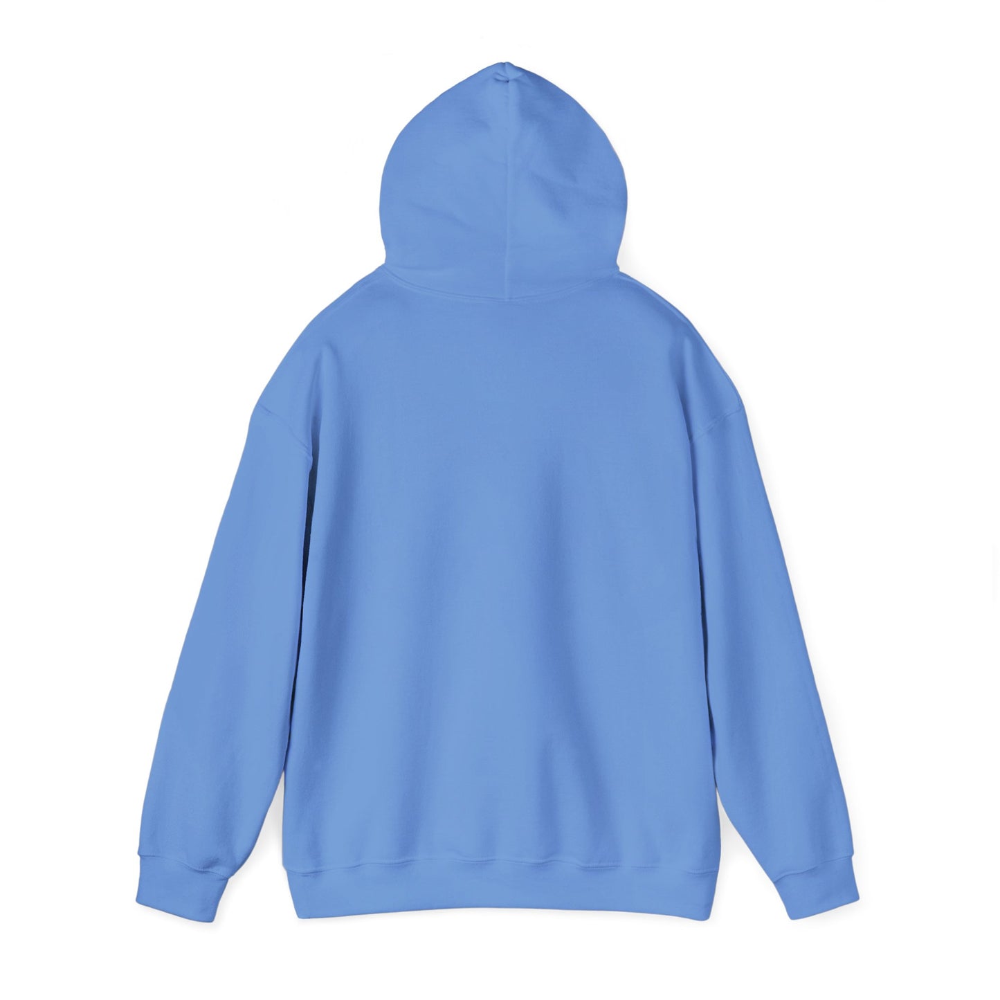 Empowering Credit Sweatshirt: Perfect for Financial Enthusiasts, Motivational Gift, Cozy Casual Wear, Credit Awareness, Unisex Hoodie
