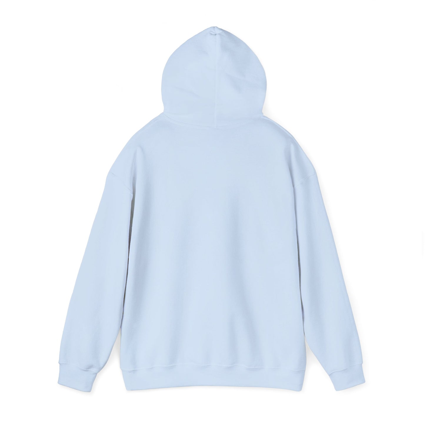 Asset Producing Income Hoodie, Casual Pullover, Motivational Gift, Unisex Apparel, Trendy Streetwear, Chill Vibes