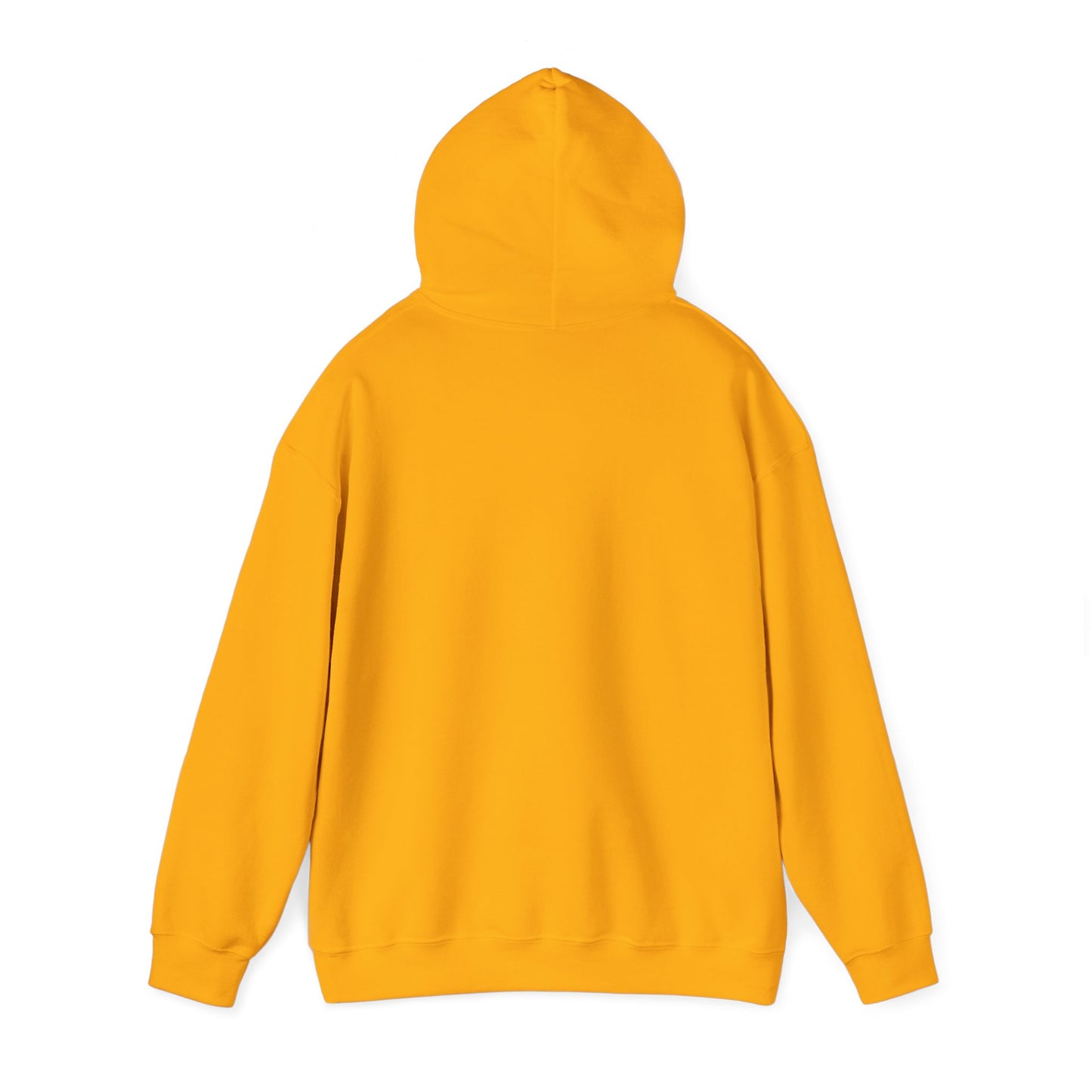 Asset Producing Income Hoodie for Entrepreneurs