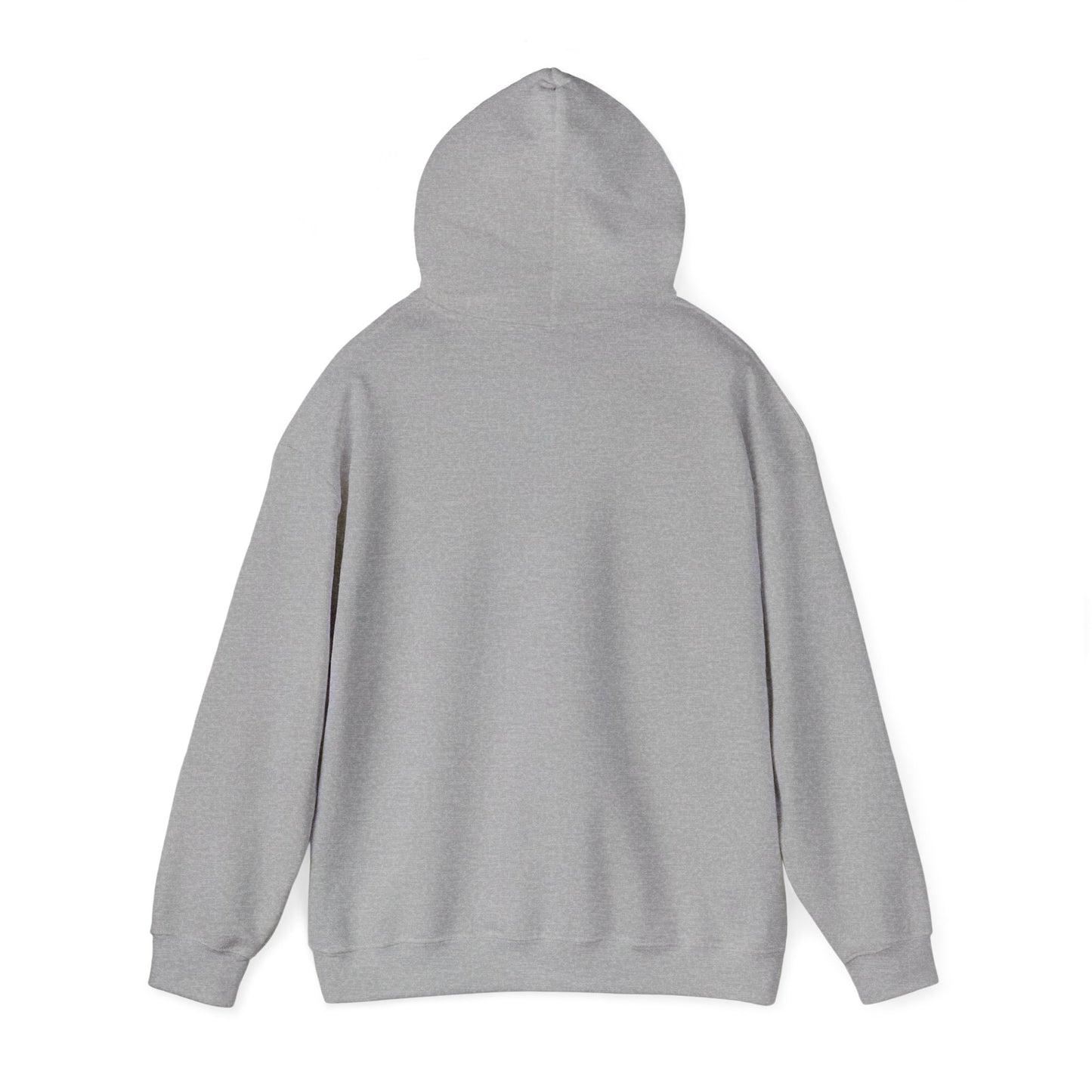 Empowering Credit Sweatshirt: Perfect for Financial Enthusiasts, Motivational Gift, Cozy Casual Wear, Credit Awareness, Unisex Hoodie