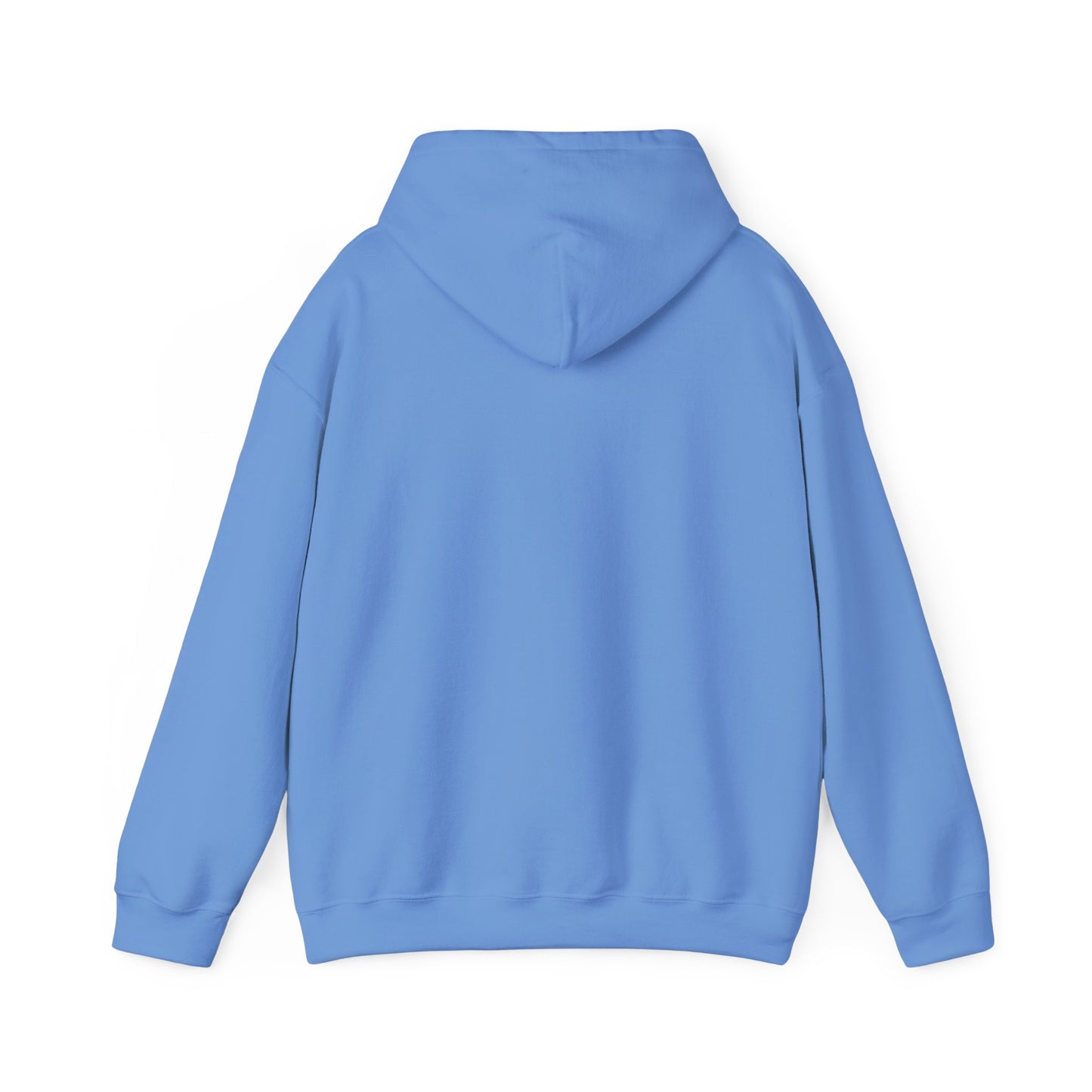 Empowering Credit Sweatshirt: Perfect for Financial Enthusiasts, Motivational Gift, Cozy Casual Wear, Credit Awareness, Unisex Hoodie