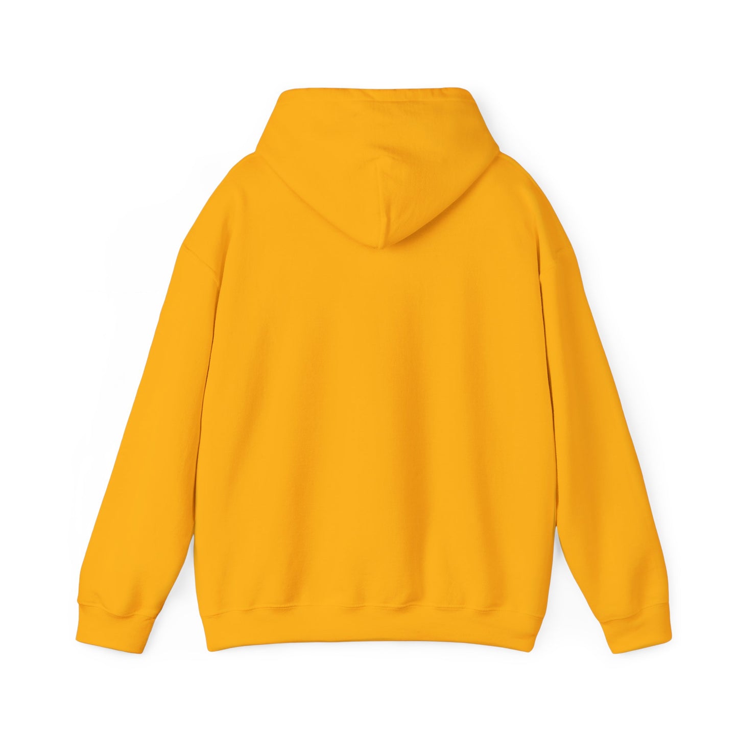 Empowering Credit Sweatshirt: Perfect for Financial Enthusiasts, Motivational Gift, Cozy Casual Wear, Credit Awareness, Unisex Hoodie