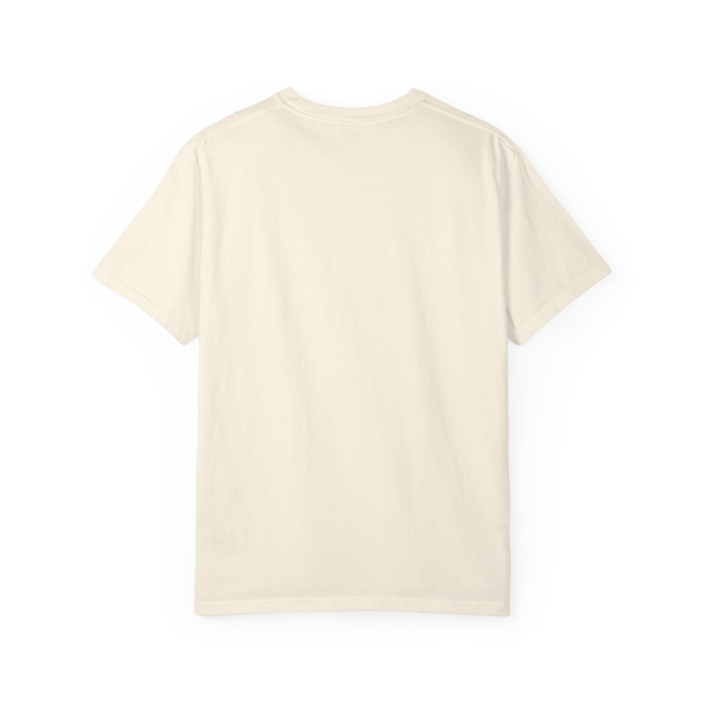 Empowerment T-Shirt | Credit is Power | Unisex Garment-Dyed Tee | Motivational Shirt, Gift for Students, Financial Freedom