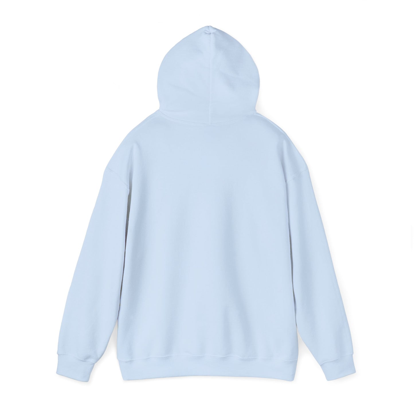 Asset Producing Income Hoodie for Entrepreneurs