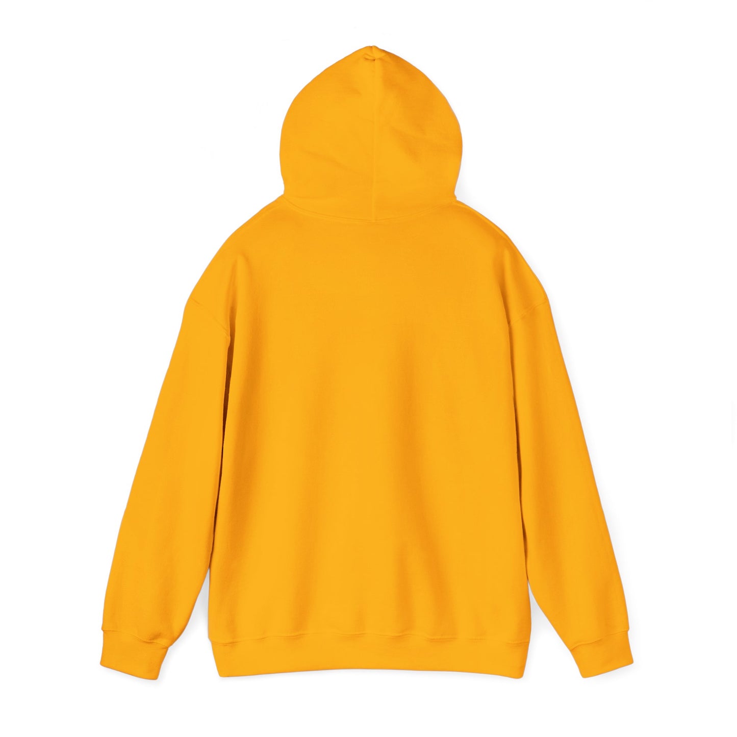 Empowering Credit Sweatshirt: Perfect for Financial Enthusiasts, Motivational Gift, Cozy Casual Wear, Credit Awareness, Unisex Hoodie