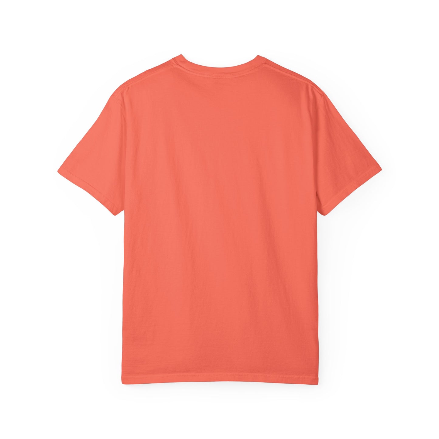 Empowerment T-Shirt | Credit is Power | Unisex Garment-Dyed Tee | Motivational Shirt, Gift for Students, Financial Freedom