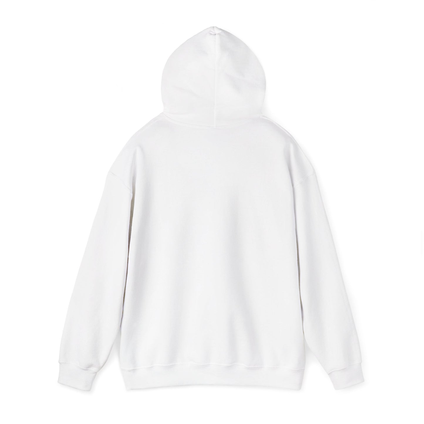 Asset Producing Income Hoodie, Casual Pullover, Motivational Gift, Unisex Apparel, Trendy Streetwear, Chill Vibes