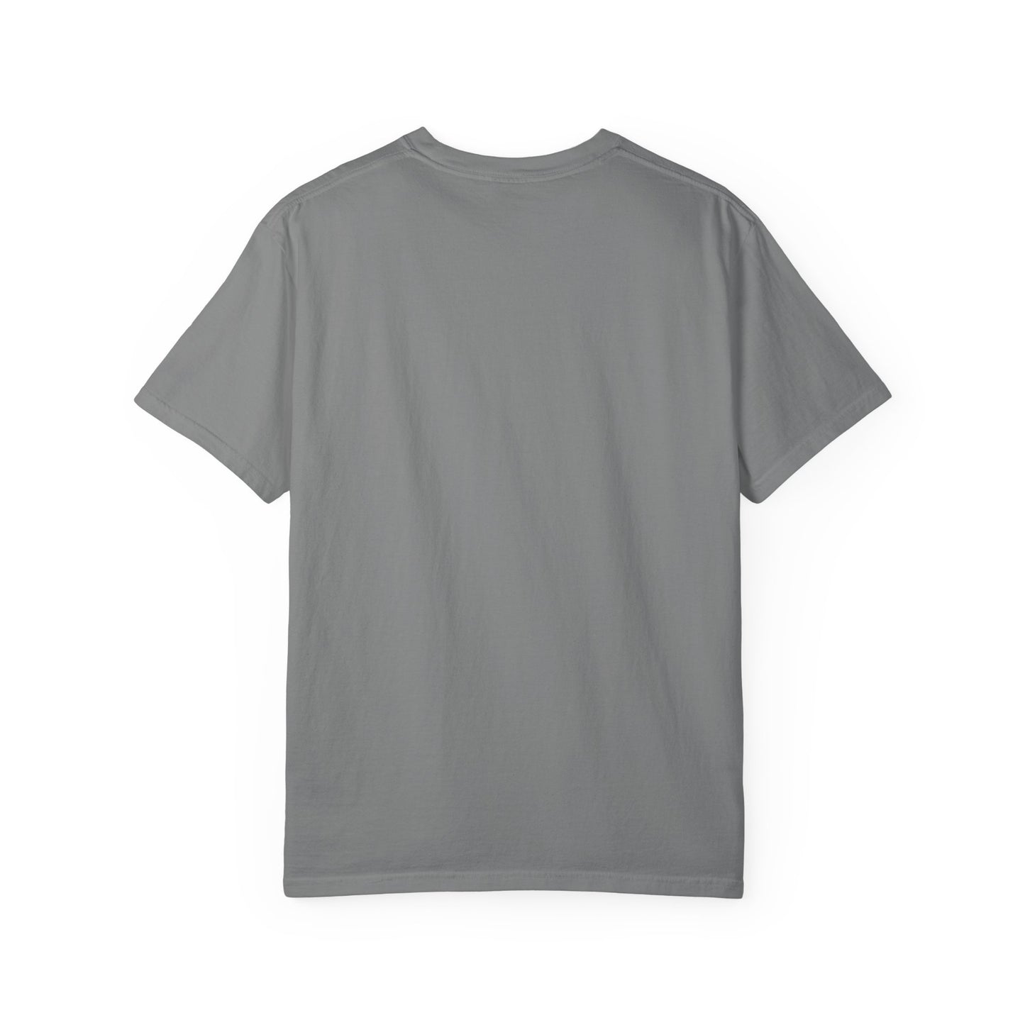 Dividend Stocks Unisex Garment-Dyed T-Shirt, Investment Tee, Finance Gift, Casual Wear, Gift for Investors, Stock Market Apparel