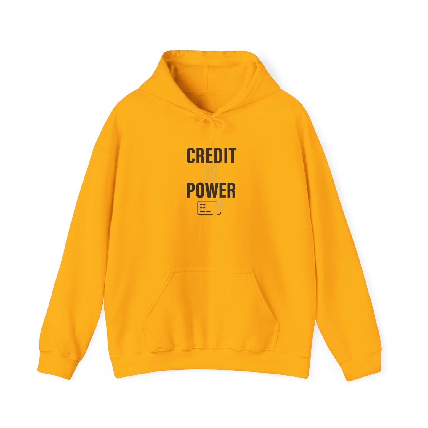 Empowering Credit Sweatshirt: Perfect for Financial Enthusiasts, Motivational Gift, Cozy Casual Wear, Credit Awareness, Unisex Hoodie