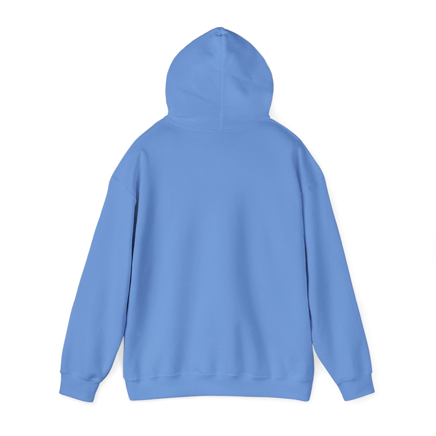 Asset Producing Income Hoodie for Entrepreneurs