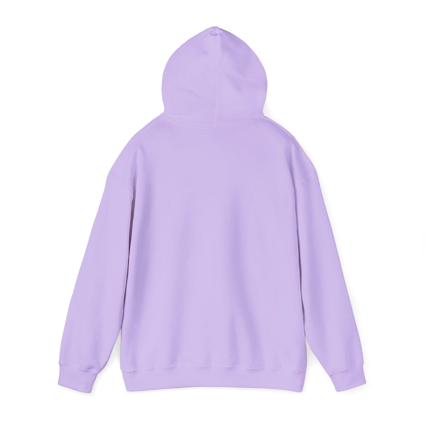 Empowering Credit Sweatshirt: Perfect for Financial Enthusiasts, Motivational Gift, Cozy Casual Wear, Credit Awareness, Unisex Hoodie