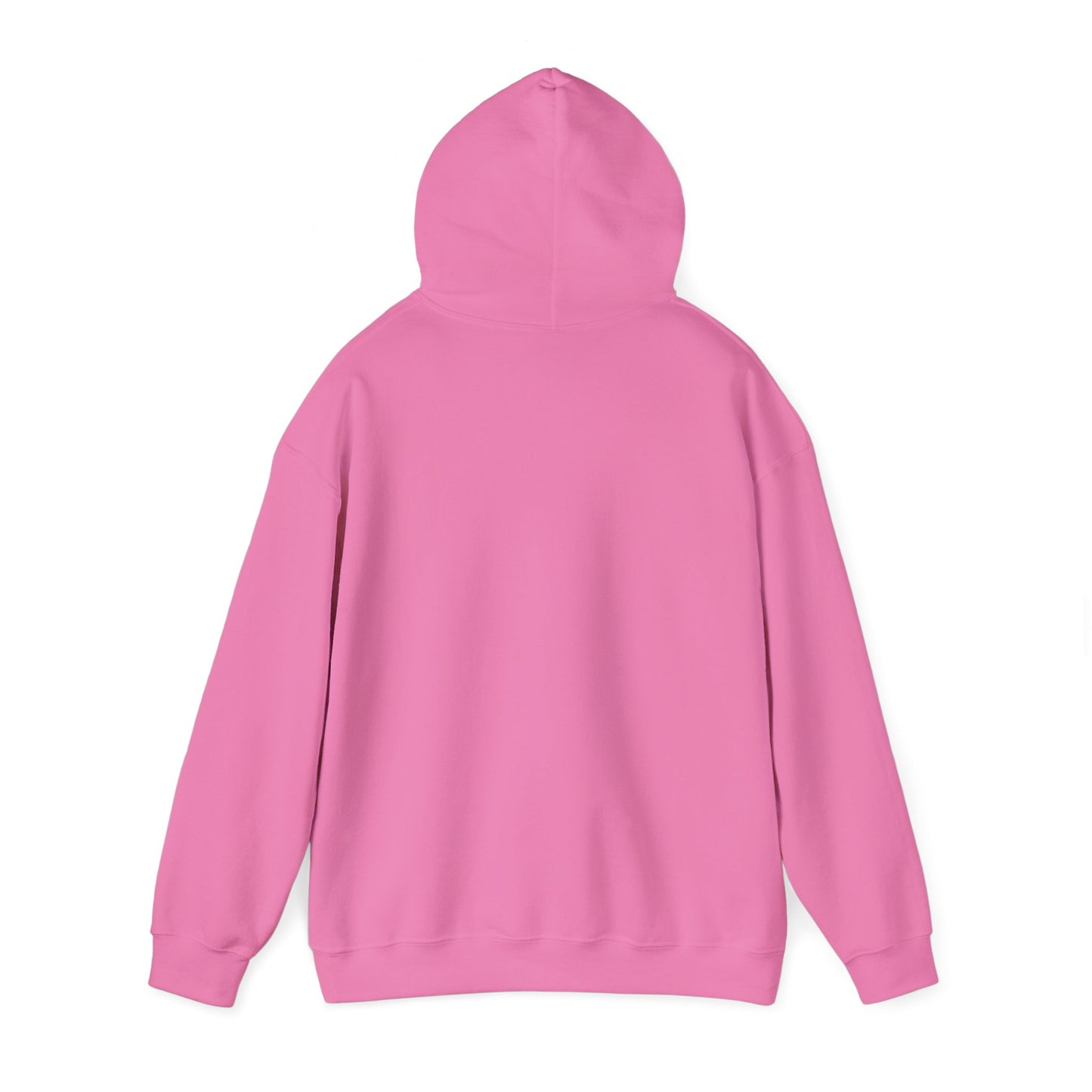 Asset Producing Income Hoodie for Entrepreneurs